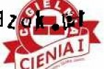 CEGŁA PEŁNA BUDOWLANA CIENIA KL.75 CENA 0,70 ZŁ
