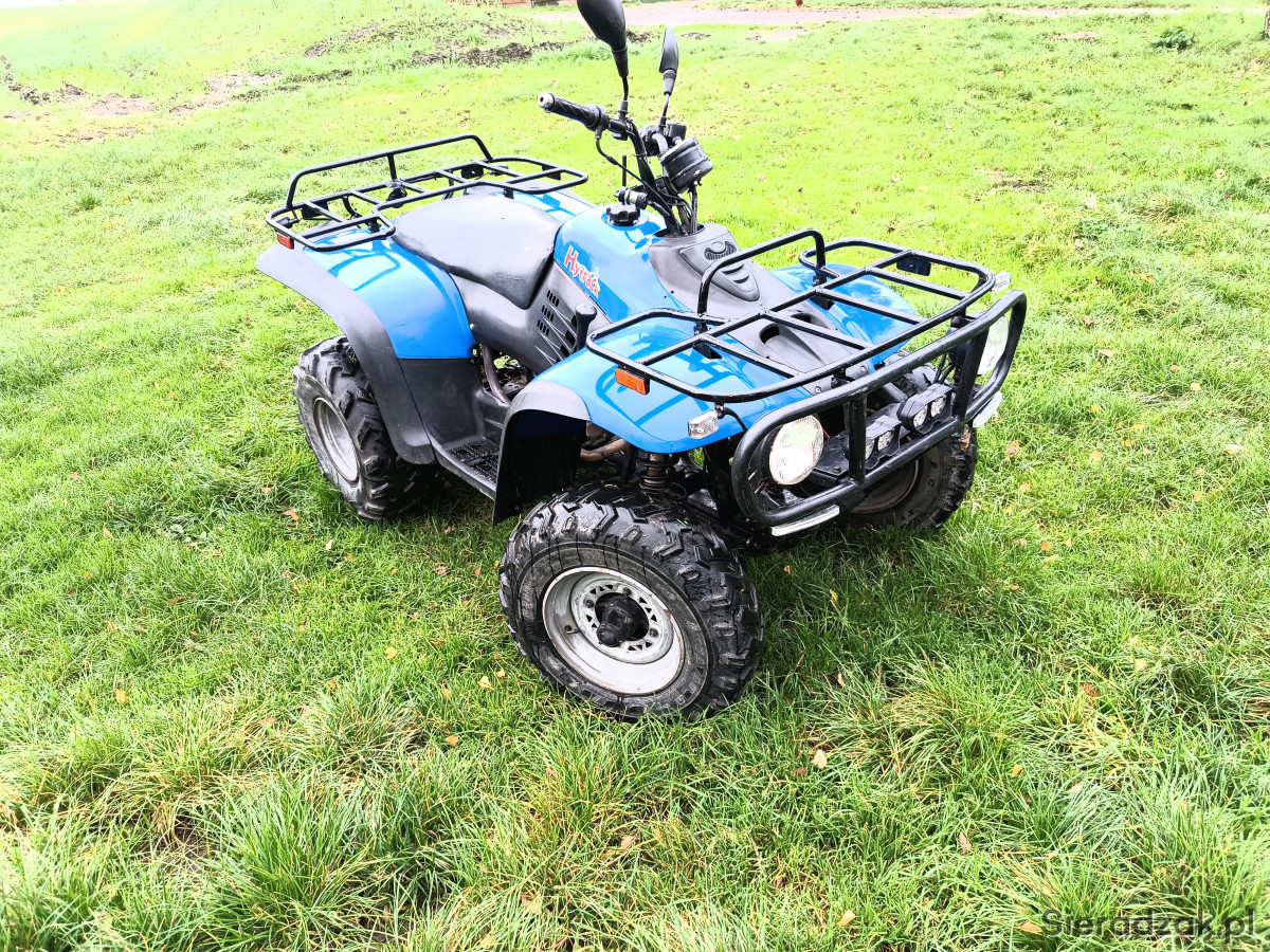 Quad Linhai 260cc Sieradzak.pl