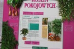 Encyklopedia roślin pokojowych 1000 cennych rad
