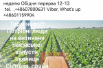Praca Работа от сейчас! 22zł час