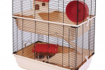 Klatka dla gryzonia plus akcesoria plus transpo