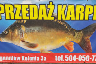 Karp świąteczny