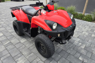 Aeon Crossland 300 Silnik z Aeon Cobra 400