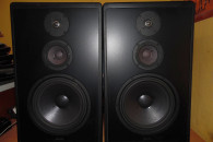 Potężne monitory Canton CT 800 2x150W 4ohm 94dB