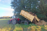 Massey Ferguson 595 MKII