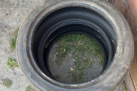 Hankook Ventus S1 EVO 275/45ZR19 245/40ZR19