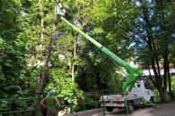 Wycinka drzew, wynajem podnośnika 20 M , rębak.