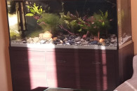 Akwarium 240 litrów