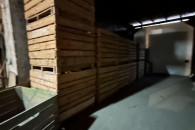 Ziemniaki odpadowe czyste