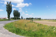 Działka inwestycyjna 1,48ha Błaszki pow.Sieradz