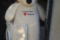 mis prawie 2 metrowy okazja