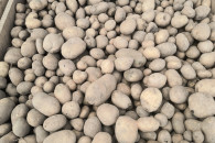 Ziemniaki paszowe odpadowe drobne