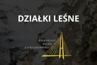 działki leśne - 4915 m2 - Złoczew