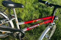 Rower Pegasus koła 24