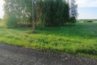 Sprzedam 1,17 ha ziemi rolnej