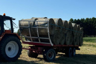 Siano pierwszy pokos 2025