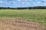 Dzierżawa szukam Wójcice Borysławice BŁASZKI