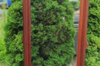 LUSTRO W RAMIE DREWNIANEJ