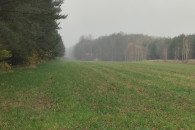 Sprzedam ziemię rolną 2,40h