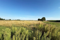 2501 m2, Sieradz ul. Sadowa