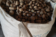 SPRZEDAM ZIEMNIAKI ODPADOWE