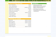 Żyto ozime Antonińskie