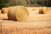 Sprzedam balot baloty 9szt 125-130cm