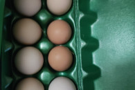 Produkty rolne - orzechy włoskie, jajka, kaczki