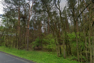 Las 70/80letni - Stoczki