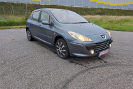 Peugeot 307 1.6 b