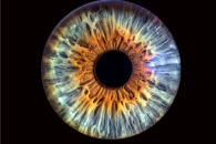 zdjęcia tęczówki oka