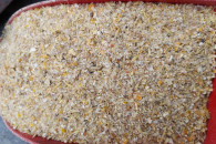 Pasza dla kur,ziarno