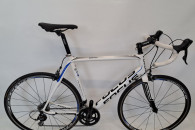 FOCUS Cayo carbon / szosa