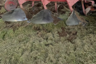 Pług 3 skibowy Skjold T66