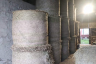 Sprzedam Siano-Bele z sianych łąk