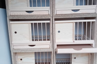 Cele legowe dla gołębi