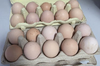 Jajka wiejskie
