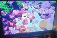 Telewizor Samsung 48Cali SMART