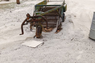 Kopaczka dwurzędowa