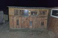 Klatka dla kur gołębi królików