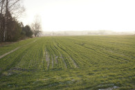 Działka rolno-budowlana z WZ - MOGILNO