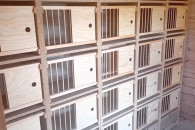 Cele lęgowe dla gołębi