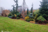 Wertykulacja trawników ,usługi ogrodnicze