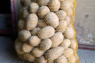 Sprzedam ziemniaki jadalne Colomba