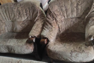 ZESTAW WYPOCZYNKOWY W DEBIE