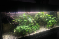 Sprzedam akwarium 240l