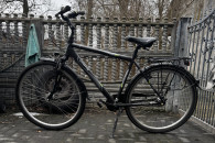 Rower miejski Curtis