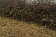 Oddam za darmo gałęzie na rębak.