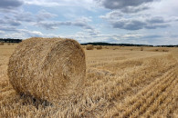 Słoma żytnia w belach 120x120