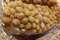 SORAYA 3,5-5,5